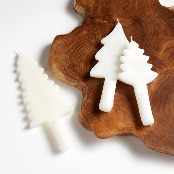 Spruce Tree Taper Candles, Set of 3