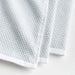 Textured Terry Blue Mist Dish Towels, Set of 2