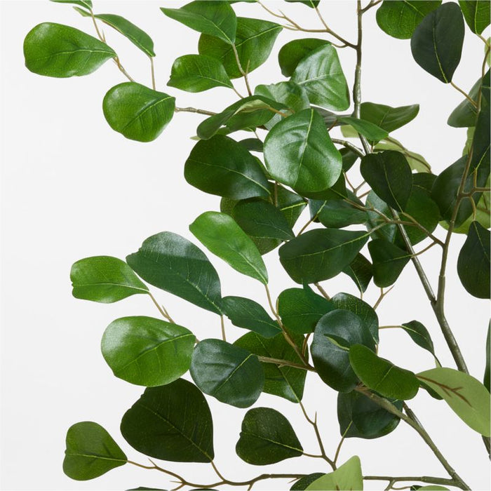 Faux Triangle Ficus Branch 38"