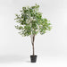 Potted Faux Triangle Ficus Tree 9'