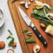 ZWILLING ® J.A. Henckels Pro 4" Paring Knife
