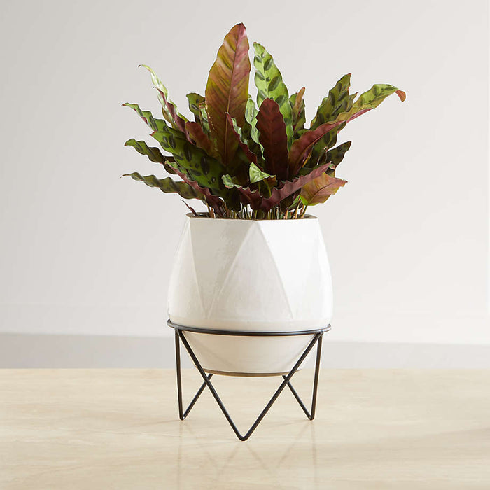 Aaro Medium Geo Planter with Stand