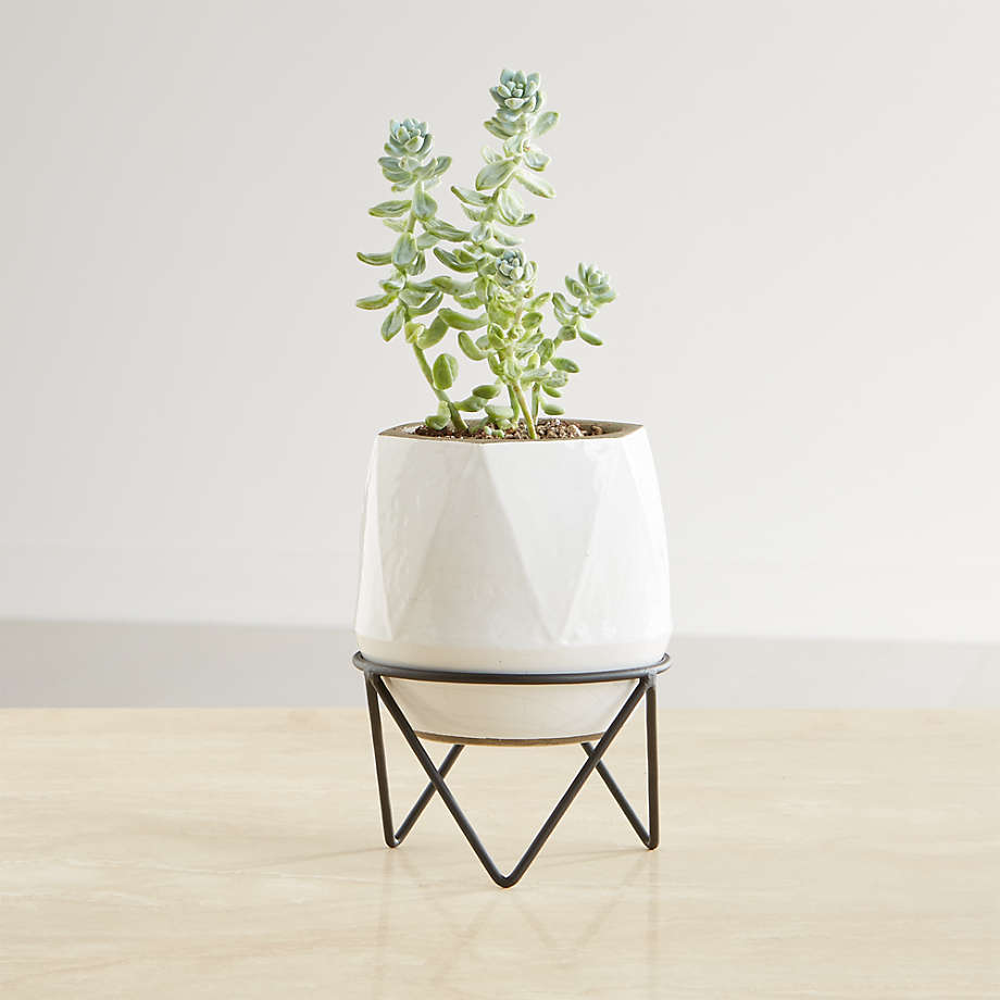 Aaro Small Geo Planter with Stand