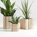 Canali Small Travertine Square Planter by Athena Calderone