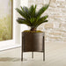 Dundee Indoor/Outdoor Bronze Low Planter with Stand
