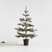 Faux Pine Pre-Lit LED Christmas Tree with White Lights 4'