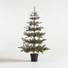 Faux Pine Pre-Lit LED Christmas Tree with White Lights 6'